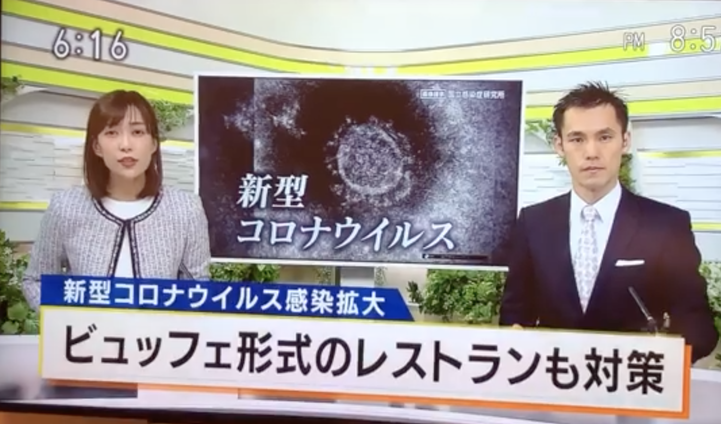 東南植物楽園のコロナ対策 Official Web Site 浮世満理子