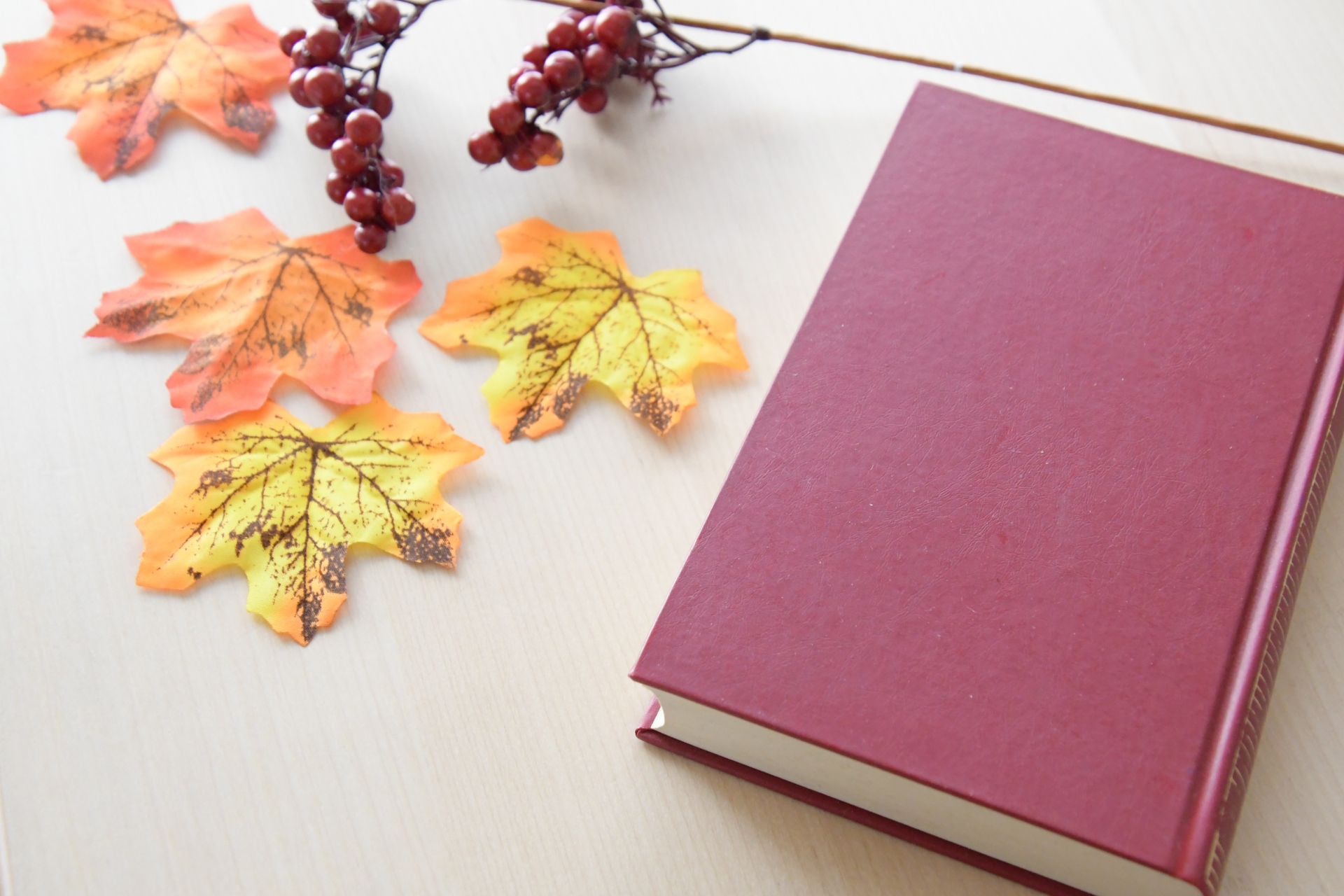 皆さまのご活躍の準備のために、『秋の学びの応援』　開催中！